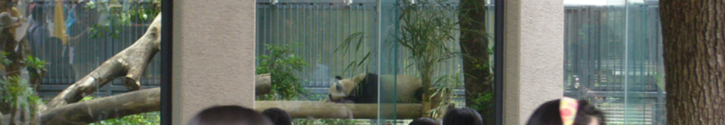 バランスボールについての記事紹介