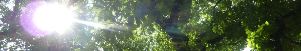 うるおいジェルソックス・情報イッキ読み！！