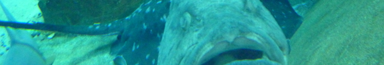 美人ぐせの最新情報