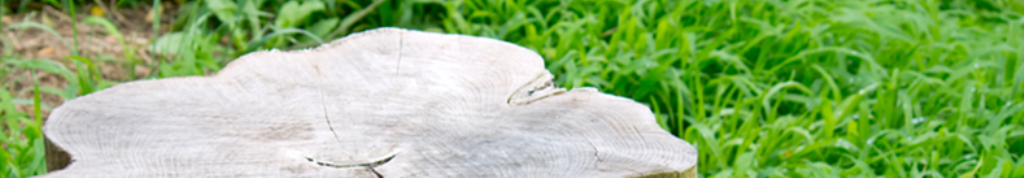 足裏シート、最新の話題提供