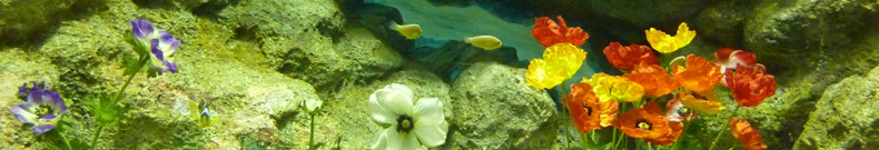 防災セットのココに注目！！