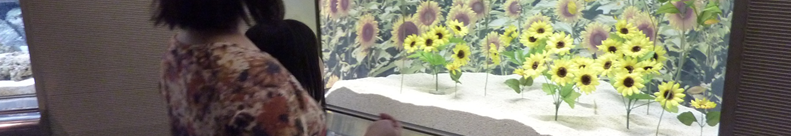 水垢 消しゴム関連情報・速達！！