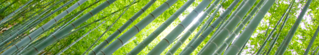 キャリーバッグ関連・最新情報！！