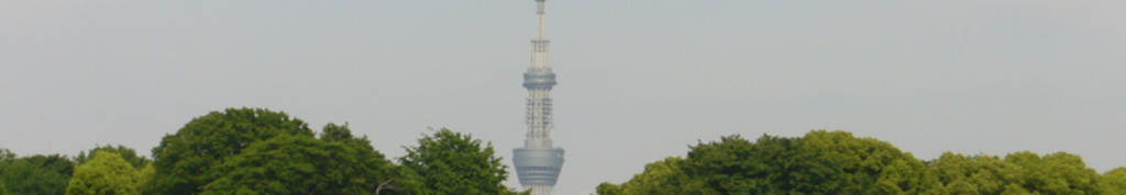 スチームクリーナーについての情報提供します！