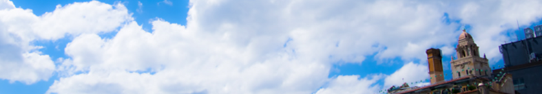 夏野菜のニュース提供します！